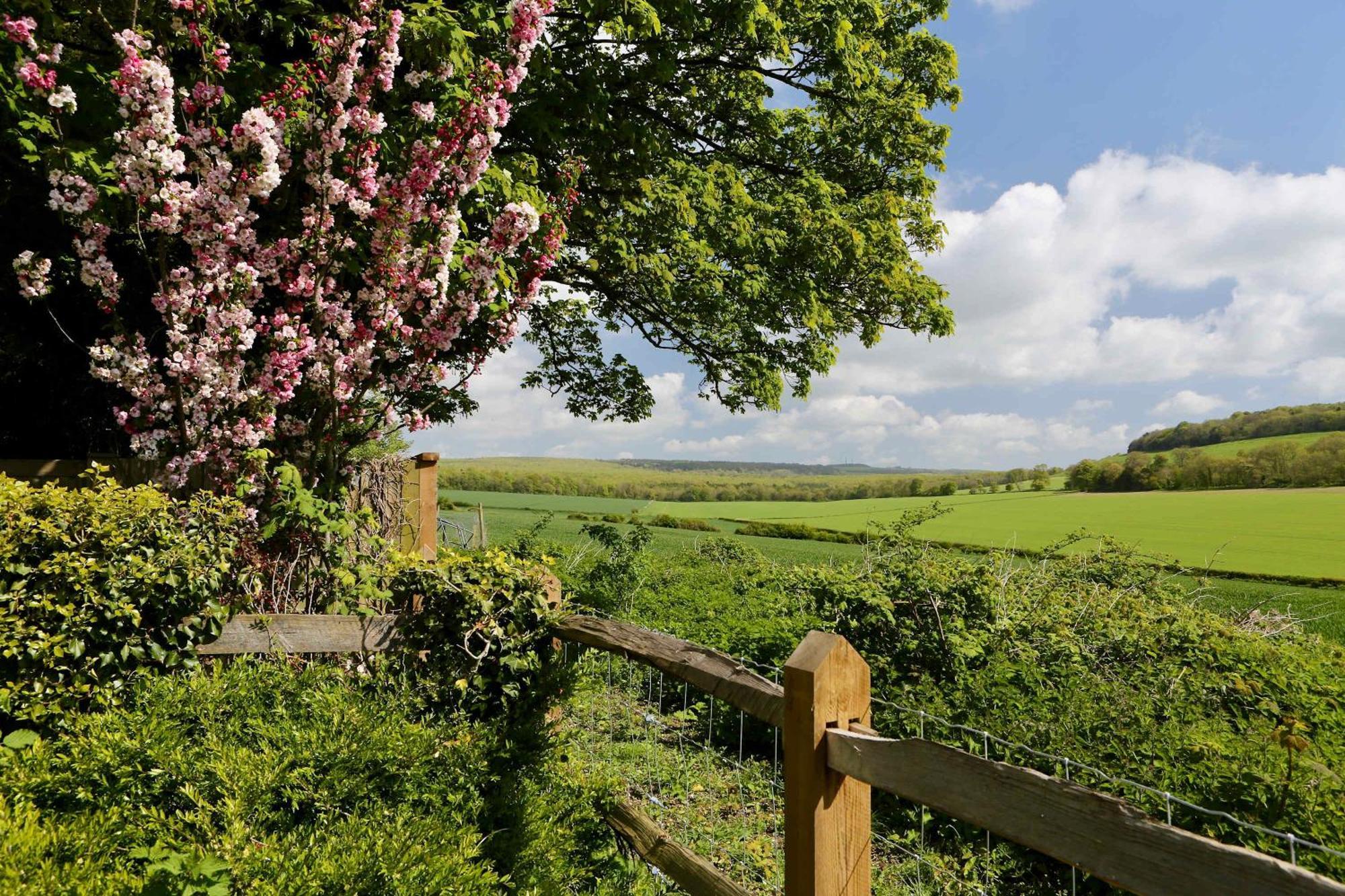 Stunning Cottage In South Downs National Park Eartham Exterior photo